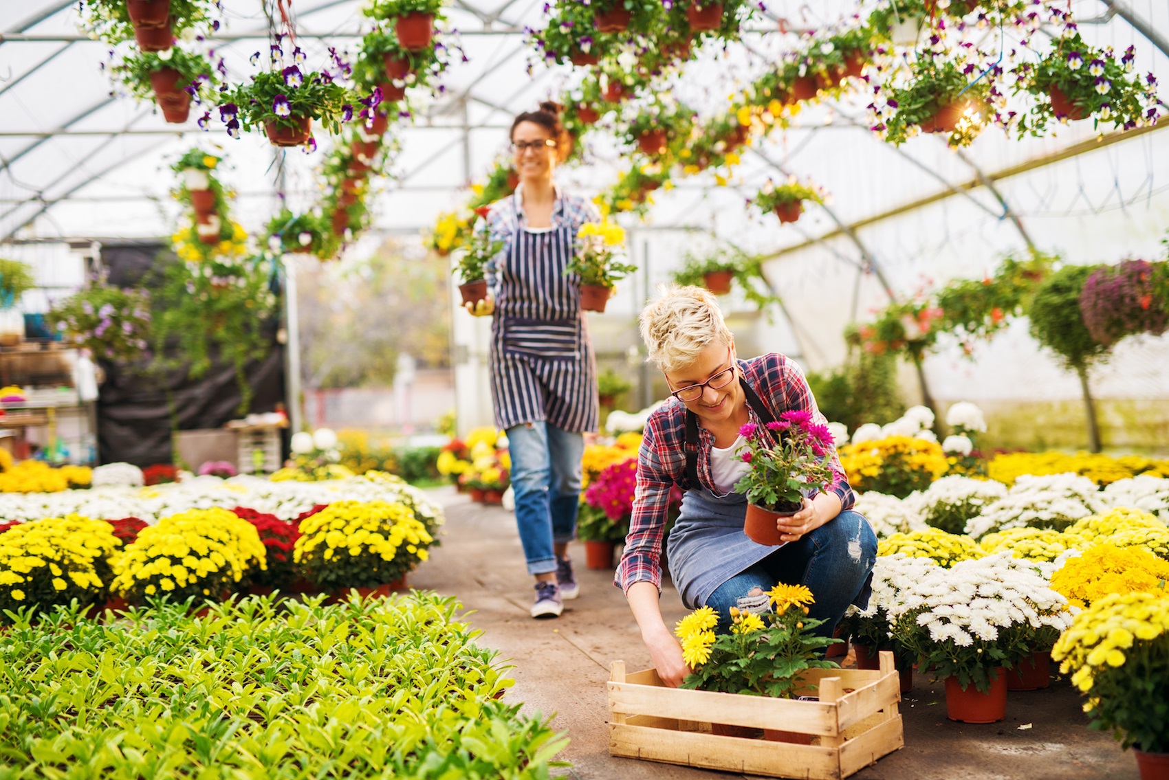 Supporting Sustainable Food Security: the Horticulture Business Option