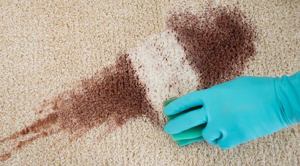 Proper Blood Spill Cleanup During Workplace Accidents