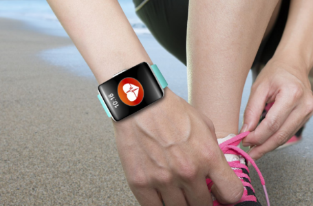What is a Health and Wellness Tracking System?