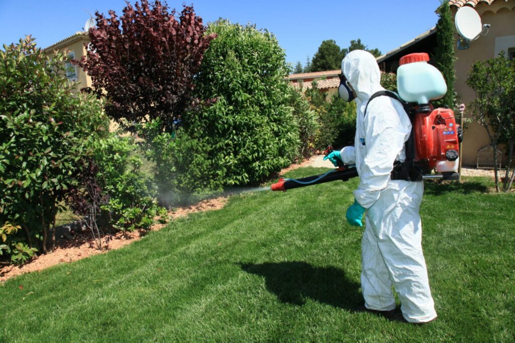 Eco-Friendly Pest Control Solutions for Gardens