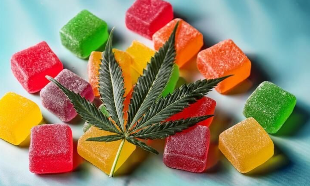 How to determine quality when choosing THC gummies?