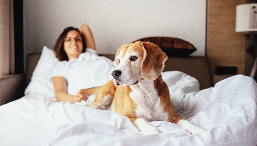 Pet-Friendly Eco-Vacations