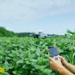 The Role of AI-Powered Drones in Monitoring Pest Populations