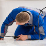 Fast and Effective Treatments from Merrimack Pest Control Service Providers in Merrimack