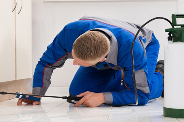 Fast and Effective Treatments from Merrimack Pest Control Service Providers in Merrimack