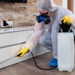 Why Early Pest Control Matters for West Hartford Homeowners