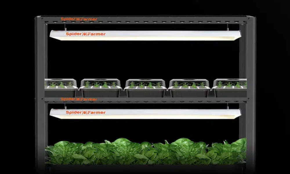 Next-Gen Flora: Grow Room Controllers for Smarter, Bigger Blooms